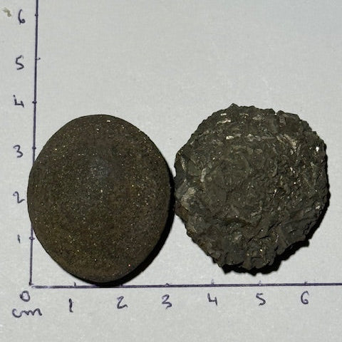 Pinas (Isis & Osiris) Très Rares