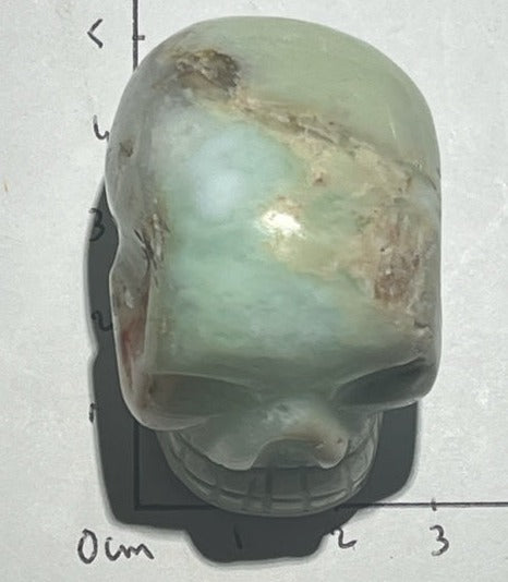 Crâne  Auralite 23