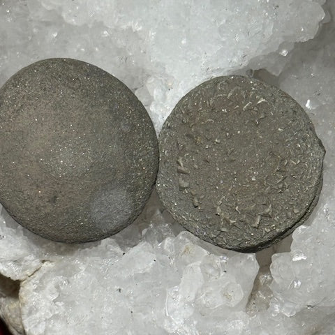 Pinas (Isis & Osiris) Très Rares