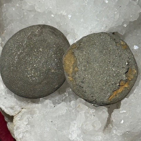 Pinas (Isis & Osiris) Très Rares