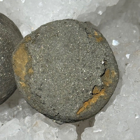 Pinas (Isis & Osiris) Très Rares