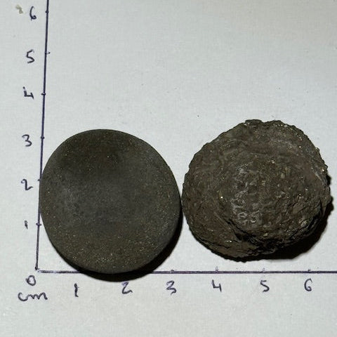 Pinas (Isis & Osiris) Très Rares