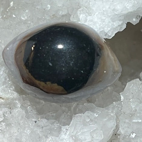 Oeil de Shiva