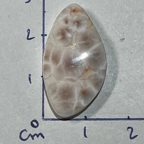 Natrolite