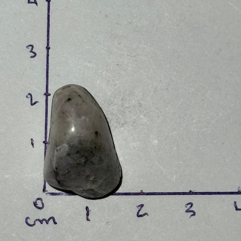 HACKMANITE (Sodalite Rouge)