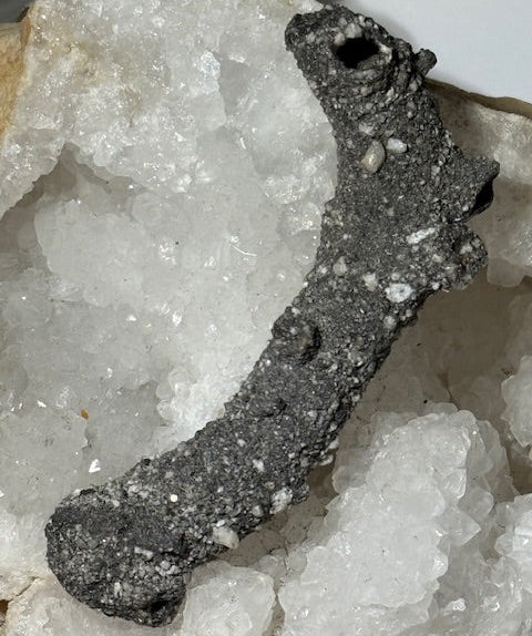 Fulgurite Racine Noire Joshua (Très Rare)