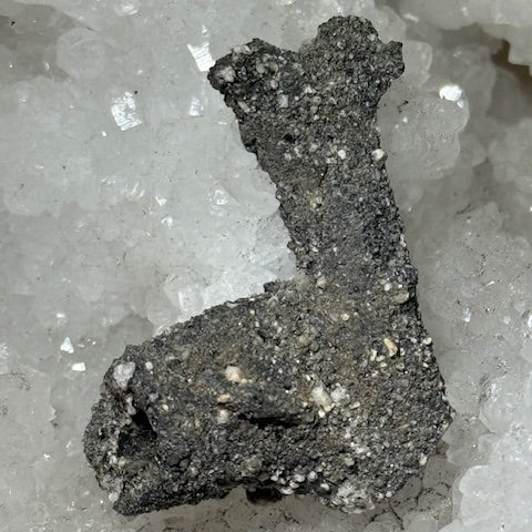 Fulgurite Racine Noire Joshua (Très Rare)