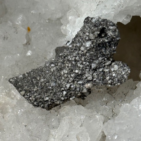 Fulgurite Racine Noire Joshua (Très Rare)