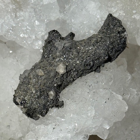 Fulgurite Racine Noire Joshua (Très Rare)