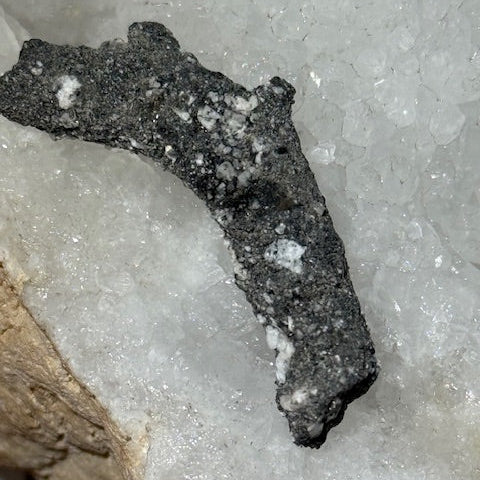 Fulgurite Racine Noire Joshua (Très Rare)