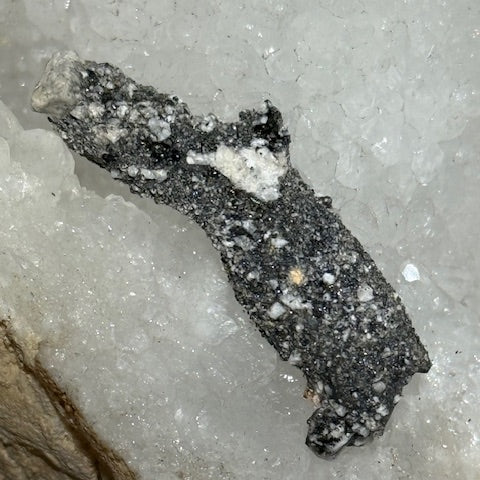 Fulgurite Racine Noire Joshua (Très Rare)