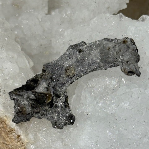 Fulgurite Racine Noire Joshua (Très Rare)
