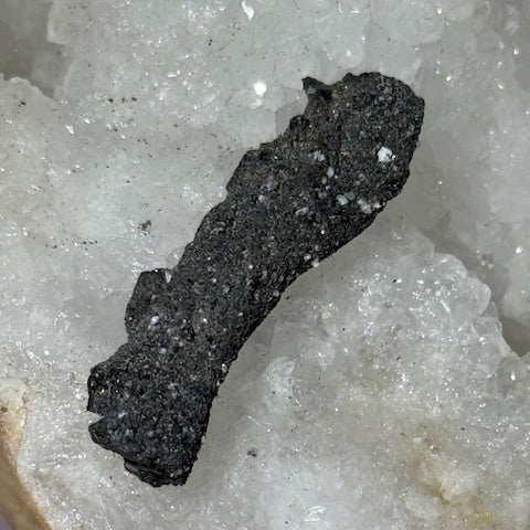 Fulgurite Racine Noire Joshua (Très Rare)