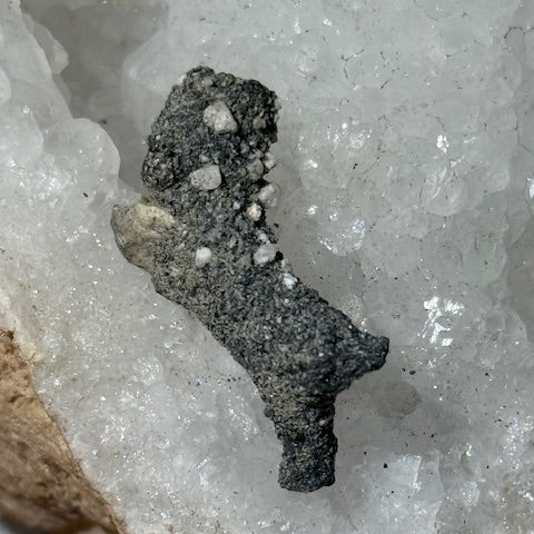 Fulgurite Racine Noire Joshua (Très Rare)