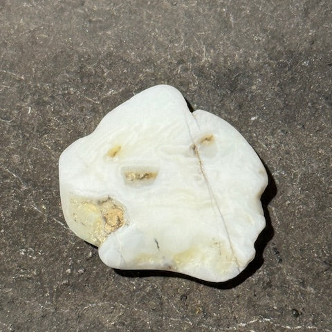 Opale du Mont Shasta oasis de cristal 