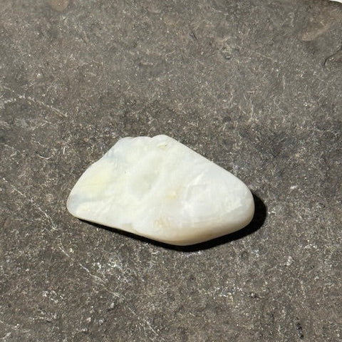 Opale du Mont Shasta oasis de cristal 