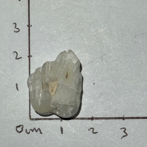 Opale du Mont Shasta oasis de cristal 