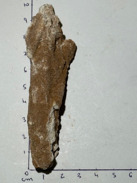 Fulgurite