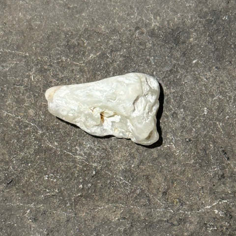 Opale du Mont Shasta oasis de cristal 