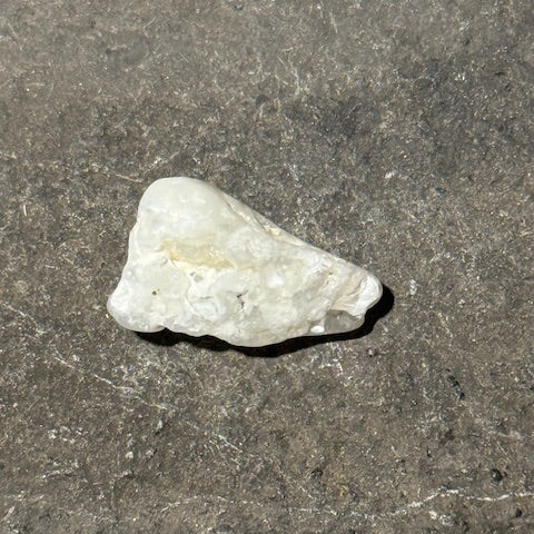 Opale du Mont Shasta oasis de cristal 