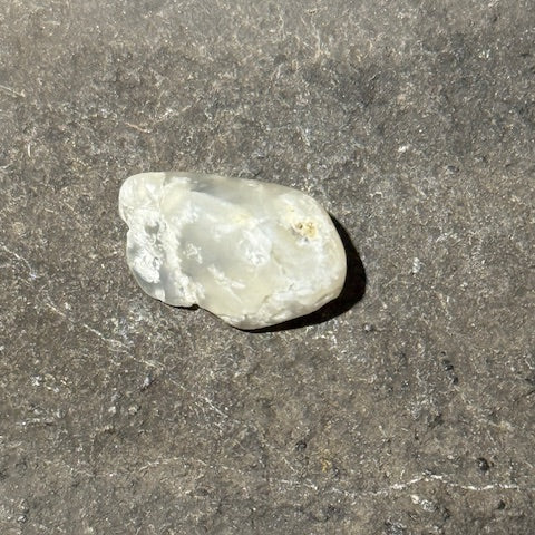 Opale du Mont Shasta oasis de cristal 