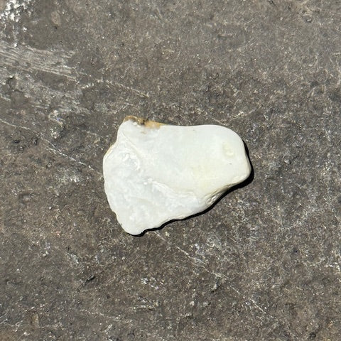 Opale du Mont Shasta oasis de cristal 