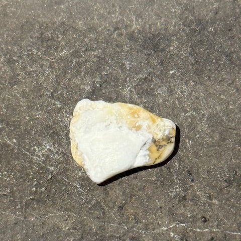 Opale du Mont Shasta oasis de cristal 