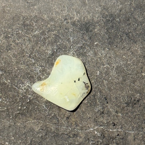 Opale du Mont Shasta oasis de cristal 