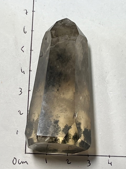 Cristal du Temple du Coeur/ DOW (Rare) Citrine Naturelle/Chlorite