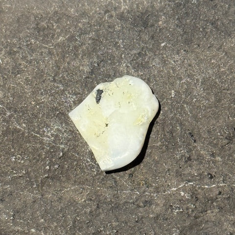 Opale du Mont Shasta oasis de cristal 