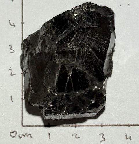 Shungite Elite Cristallisée OASIS DE CRISTAL 