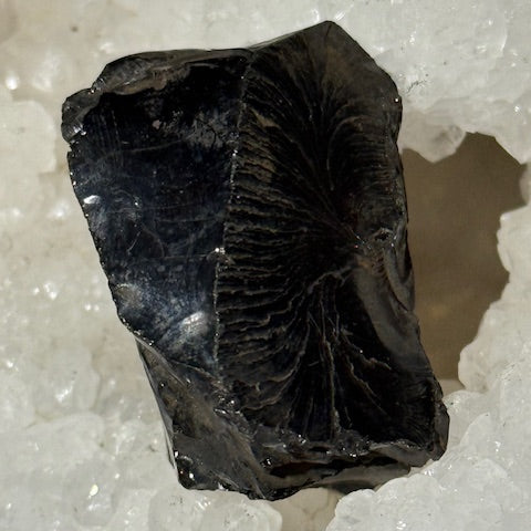 Shungite Elite Cristallisée OASIS DE CRISTAL 