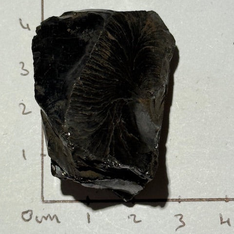 Shungite Elite Cristallisée OASIS DE CRISTAL 