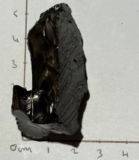 Shungite Elite Cristallisée OASIS DE CRISTAL 