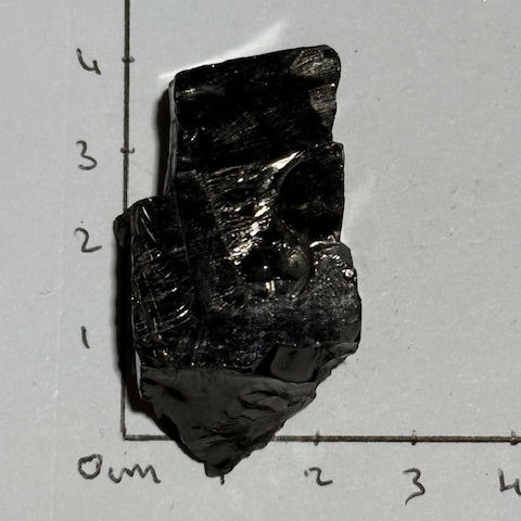 Shungite Elite Cristallisée OASIS DE CRISTAL 