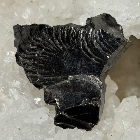 Shungite Elite Cristallisée OASIS DE CRISTAL 