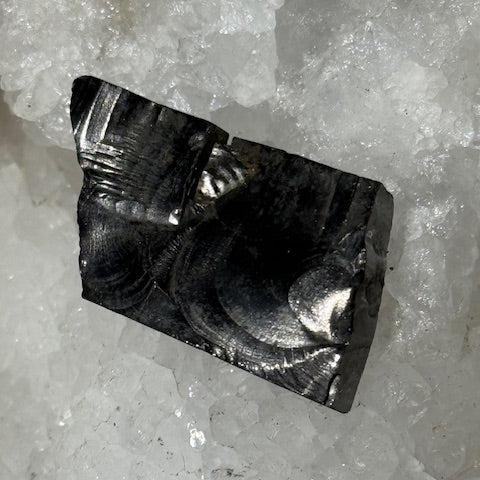 Shungite Elite Cristallisée OASIS DE CRISTAL 