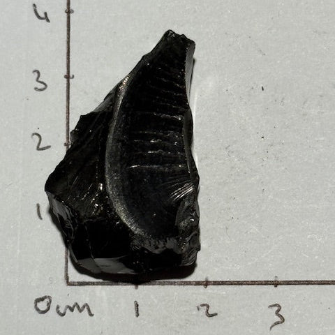 Shungite Elite Cristallisée OASIS DE CRISTAL 