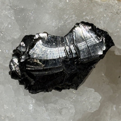 Shungite Elite Cristallisée OASIS DE CRISTAL 