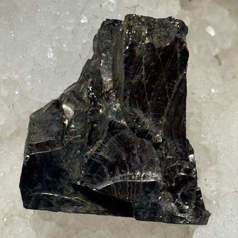 Shungite Elite Cristallisée OASIS DE CRISTAL 