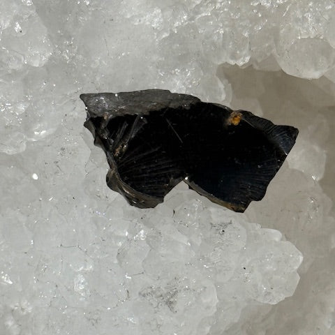 Shungite Elite Cristallisée OASIS DE CRISTAL 