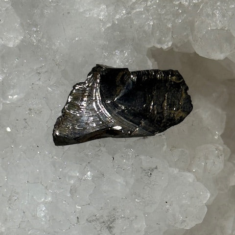 Shungite Elite Cristallisée OASIS DE CRISTAL 