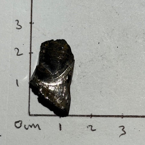 Shungite Elite Cristallisée OASIS DE CRISTAL 