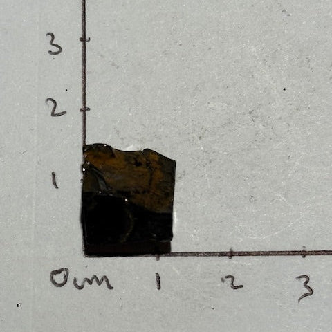Shungite Elite Cristallisée OASIS DE CRISTAL 
