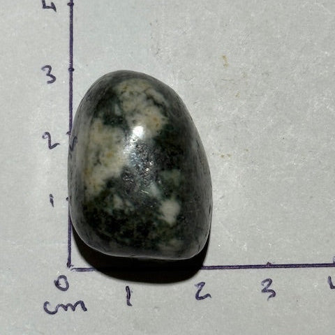 Pierre bleue des monts Preseli