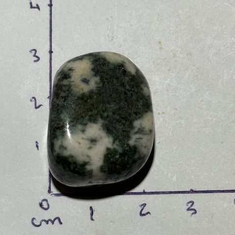 Pierre bleue des monts Preseli