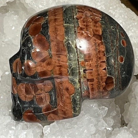Crâne Obsidienne Arachide