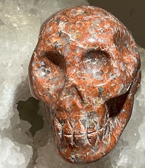 Crâne  Rosophia