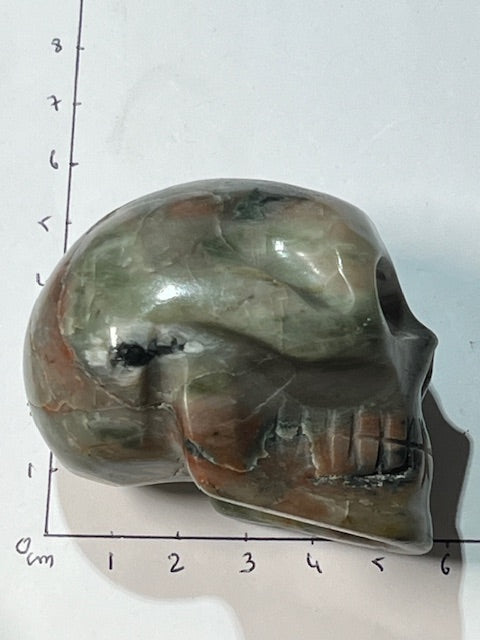 Crâne Émeraude