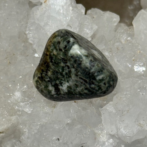 Pierre bleue des monts Preseli